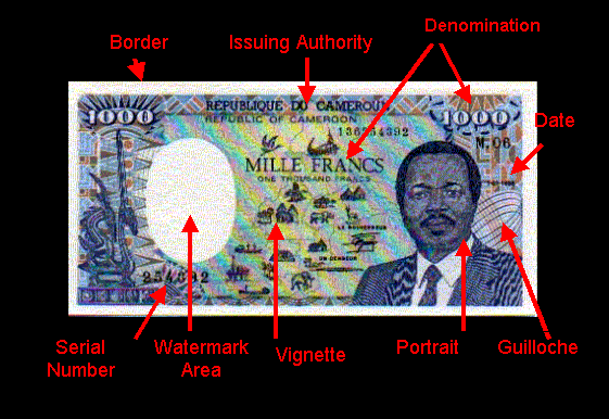 banknote anatomy