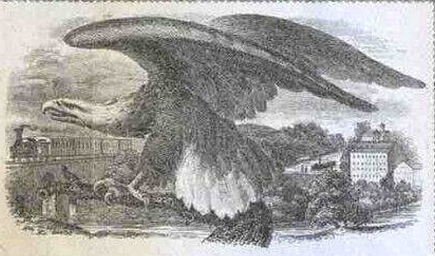 0 shares  (70) EF Banknote