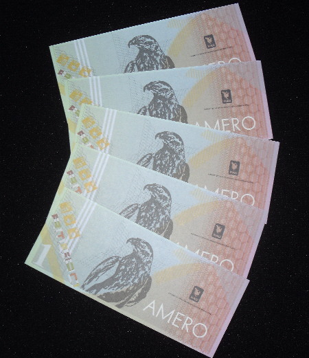 1 Amero  (90) UNC Banknote