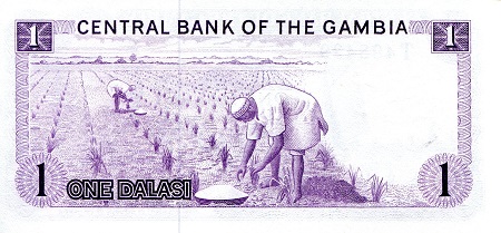 1 dalasi  (85) AU-UNC Banknote