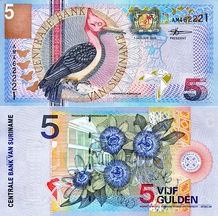 5 gulden  (90) UNC Banknote